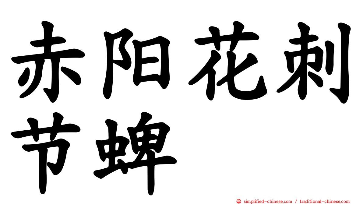 赤阳花刺节蜱