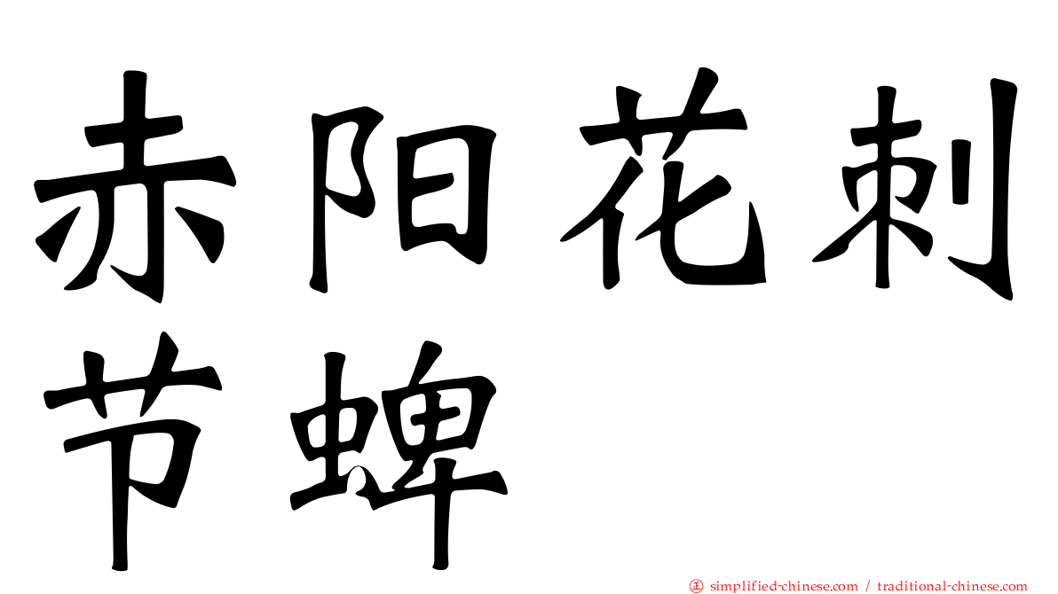赤阳花刺节蜱