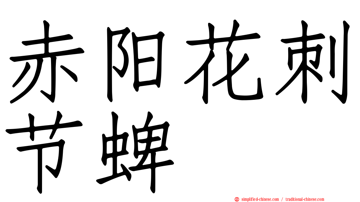 赤阳花刺节蜱