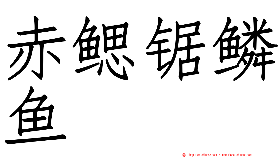 赤鳃锯鳞鱼