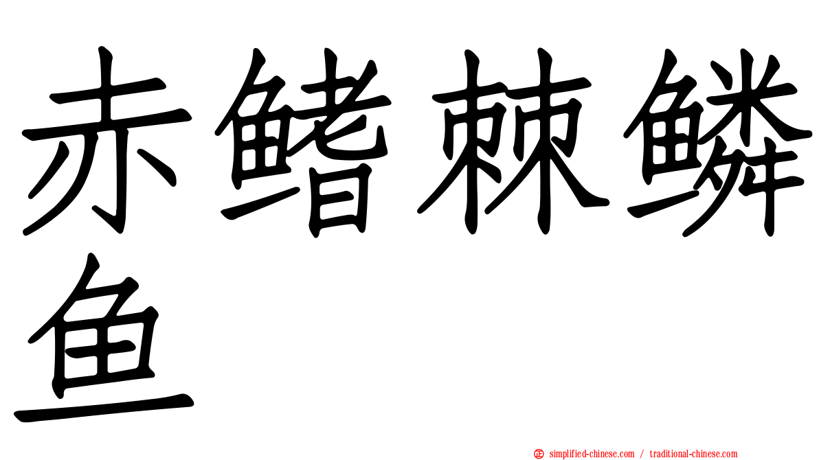 赤鳍棘鳞鱼