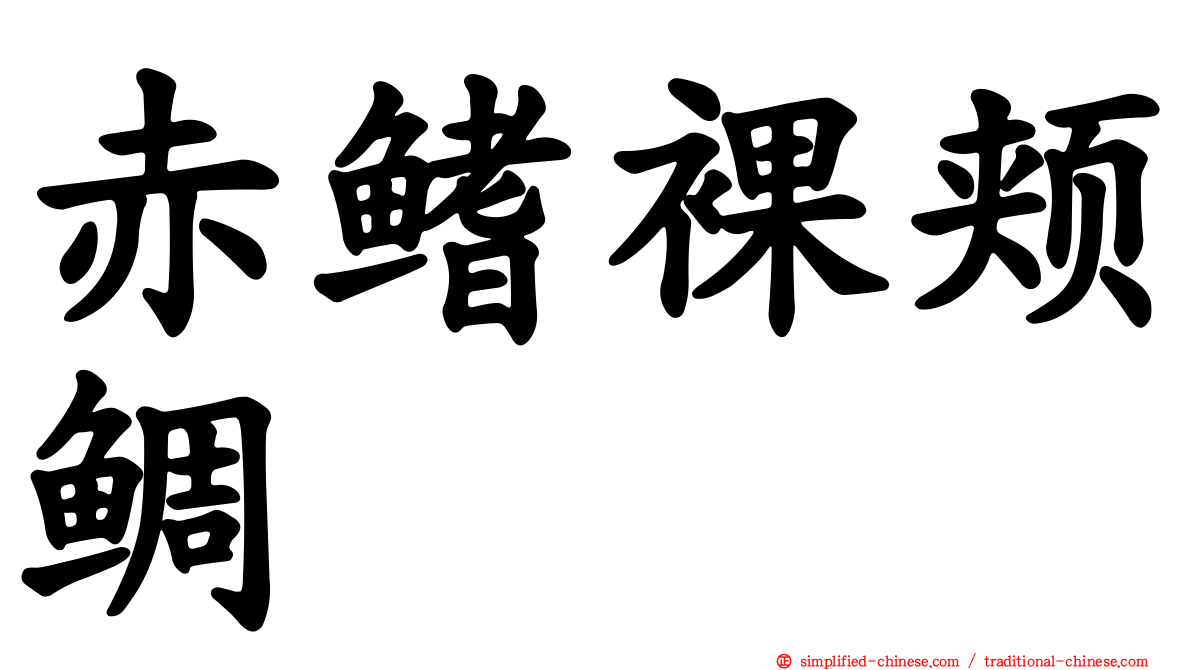 赤鳍裸颊鲷
