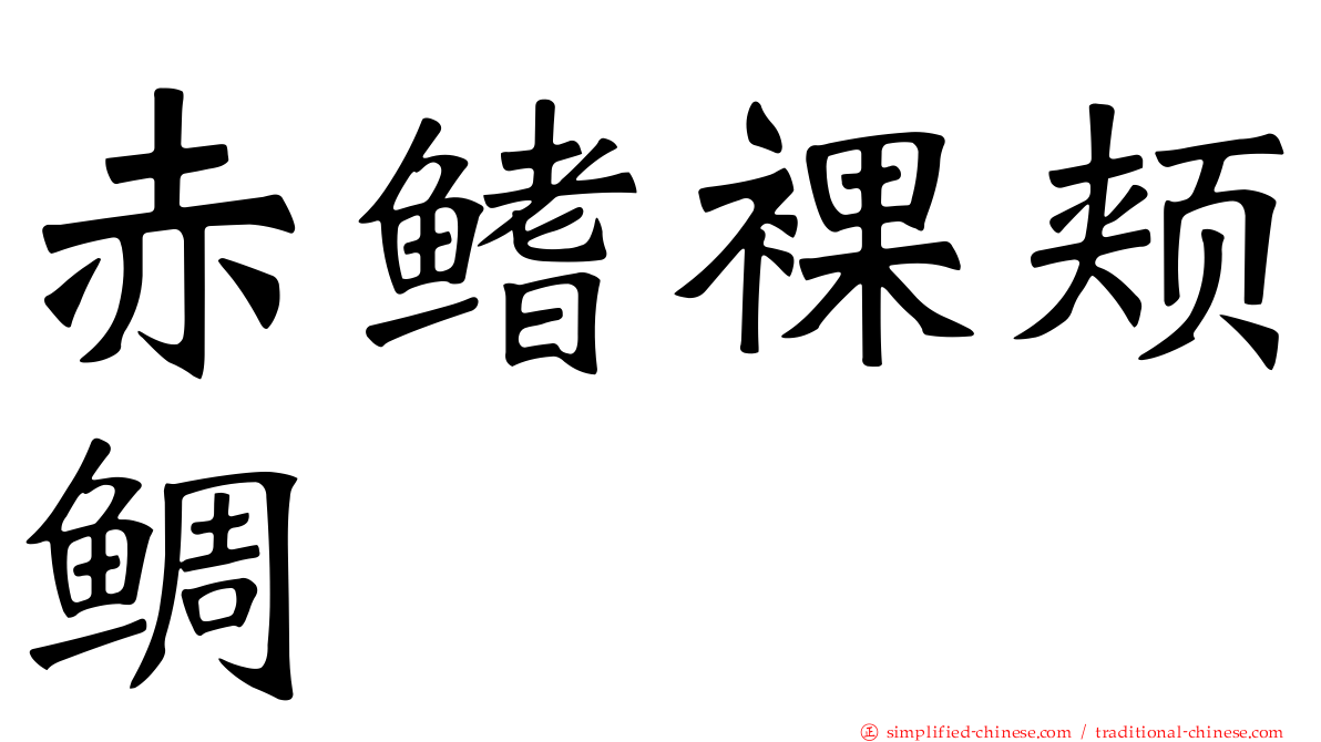 赤鳍裸颊鲷