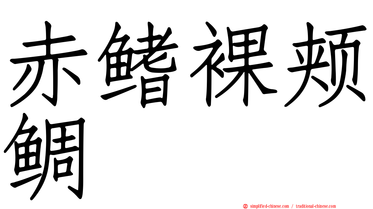 赤鳍裸颊鲷
