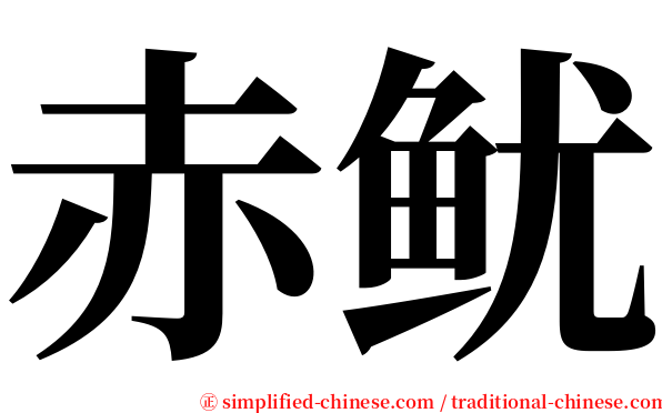 赤鱿 serif font