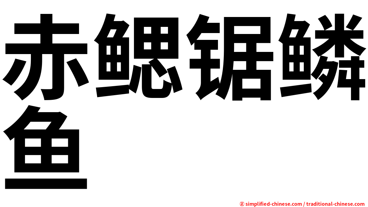 赤鳃锯鳞鱼