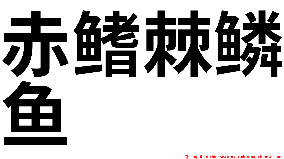 赤鳍棘鳞鱼