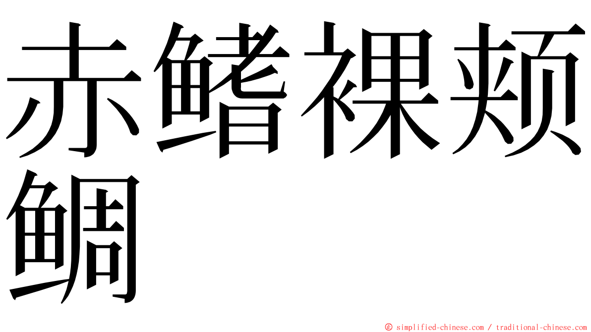 赤鳍裸颊鲷 ming font