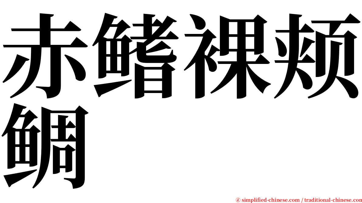 赤鳍裸颊鲷 serif font