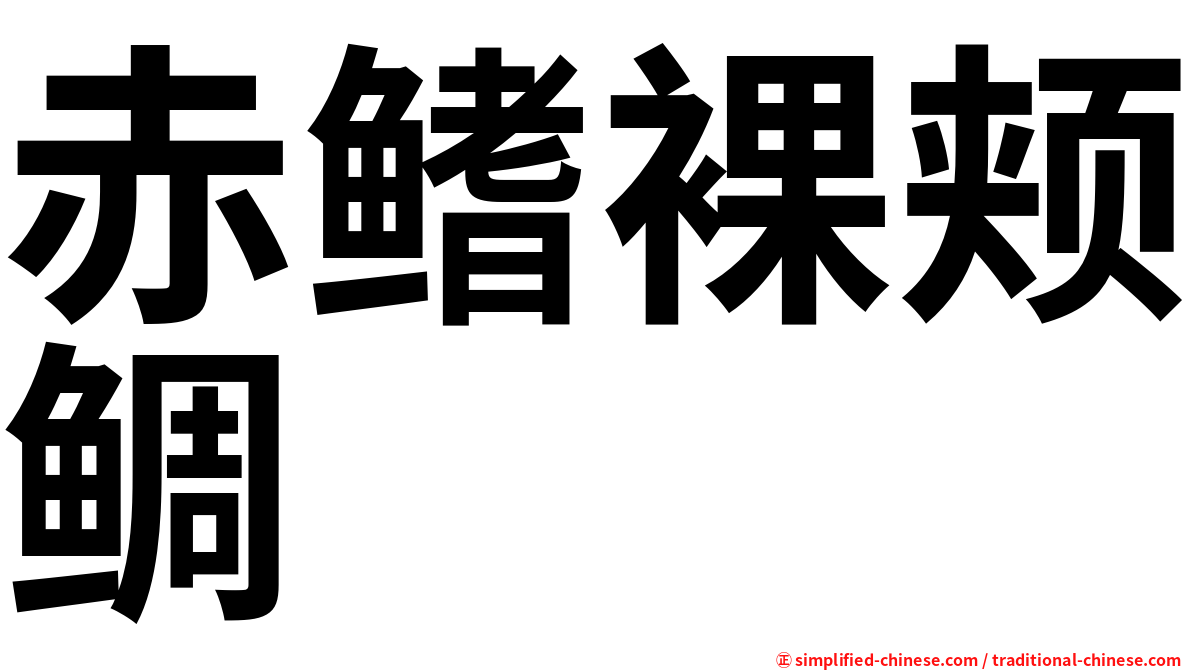 赤鳍裸颊鲷