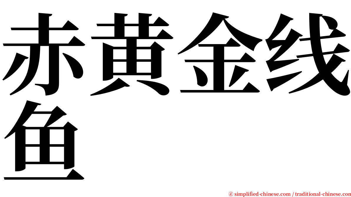 赤黄金线鱼 serif font
