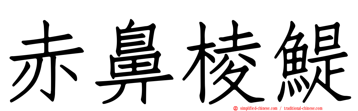赤鼻棱鳀