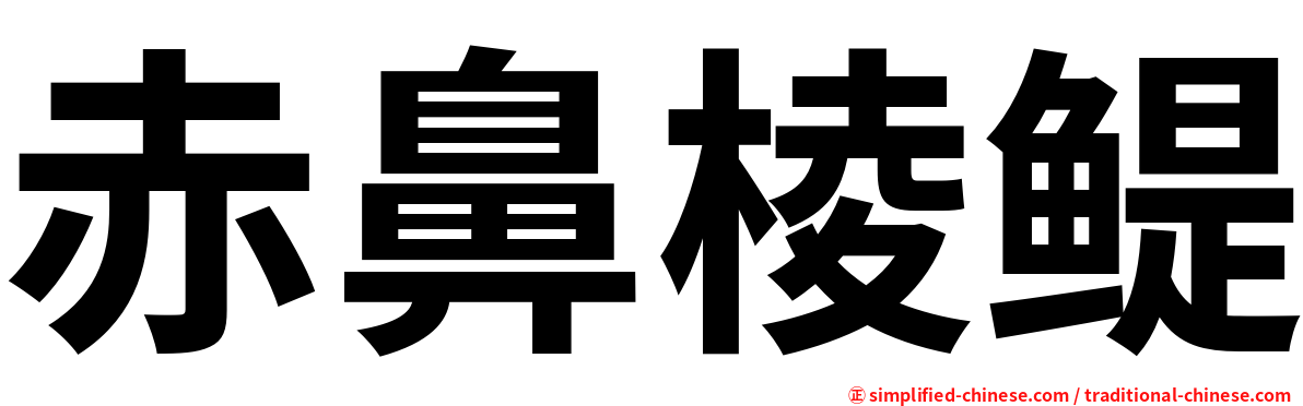 赤鼻棱鳀