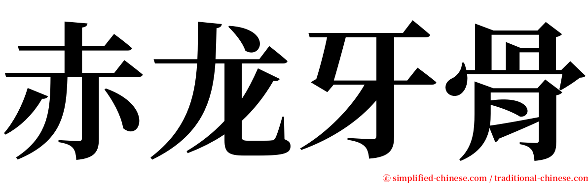 赤龙牙骨 serif font