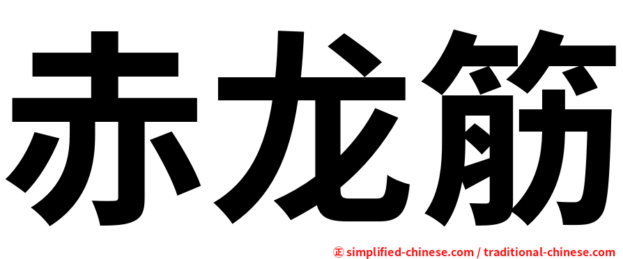 赤龙筋