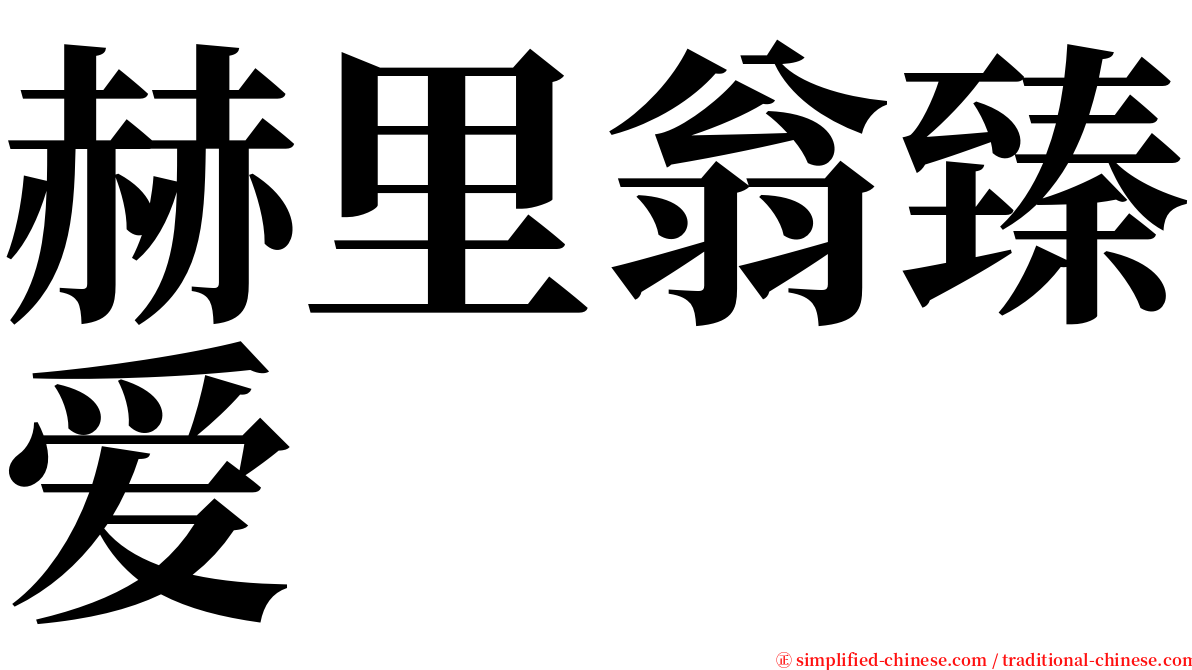 赫里翁臻爱 serif font