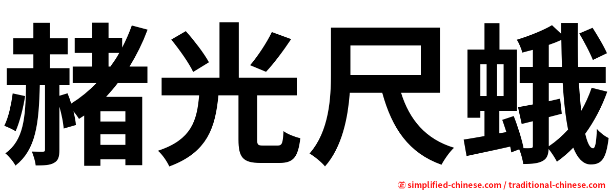 赭光尺蛾