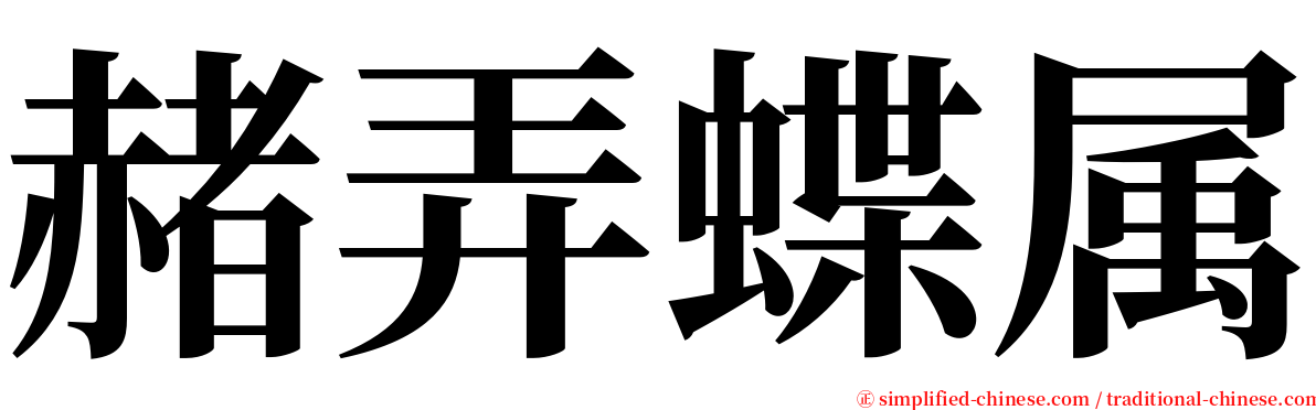 赭弄蝶属 serif font