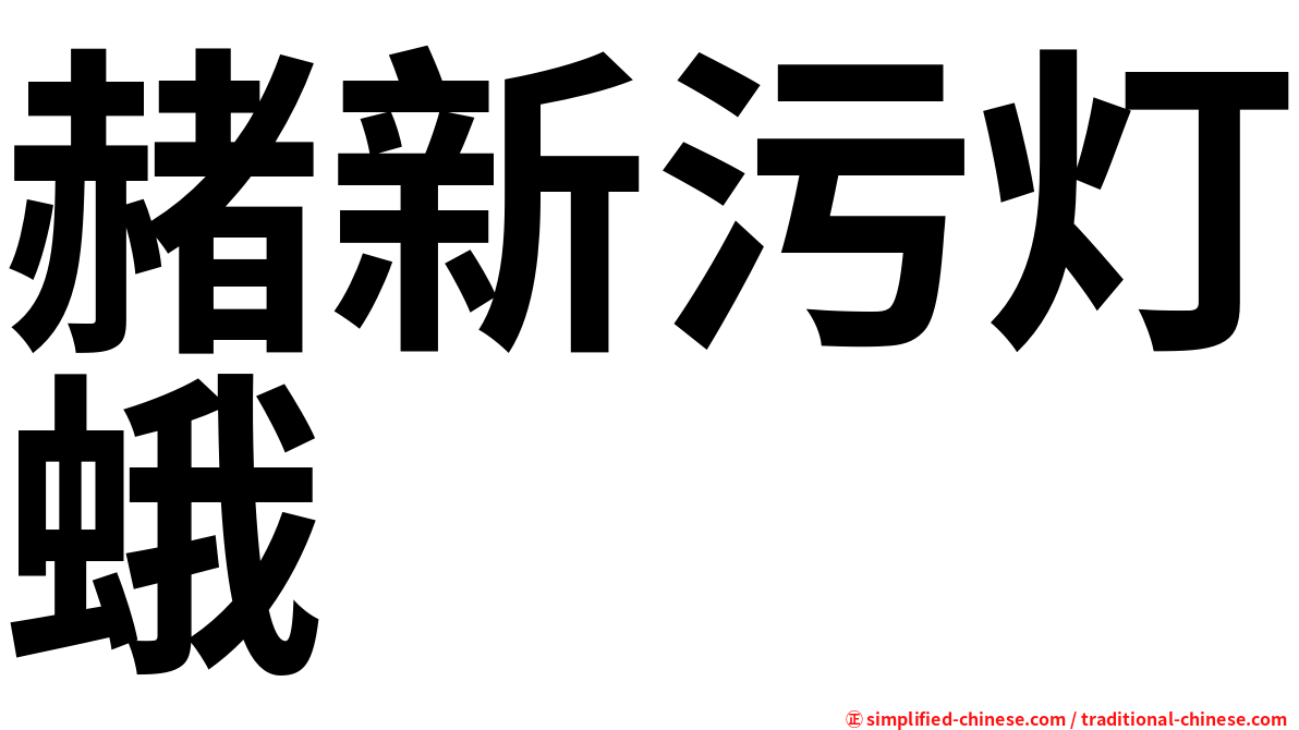 赭新污灯蛾