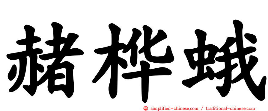 赭桦蛾