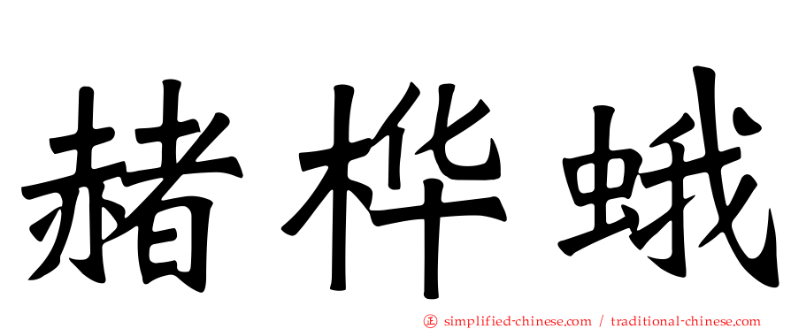 赭桦蛾