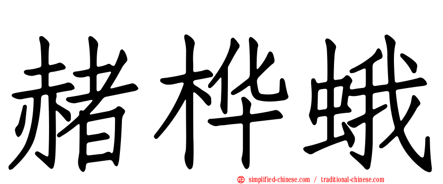 赭桦蛾