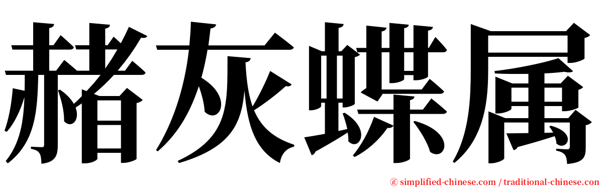 赭灰蝶属 serif font