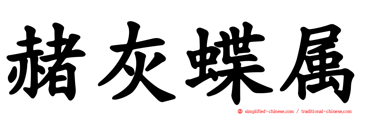 赭灰蝶属