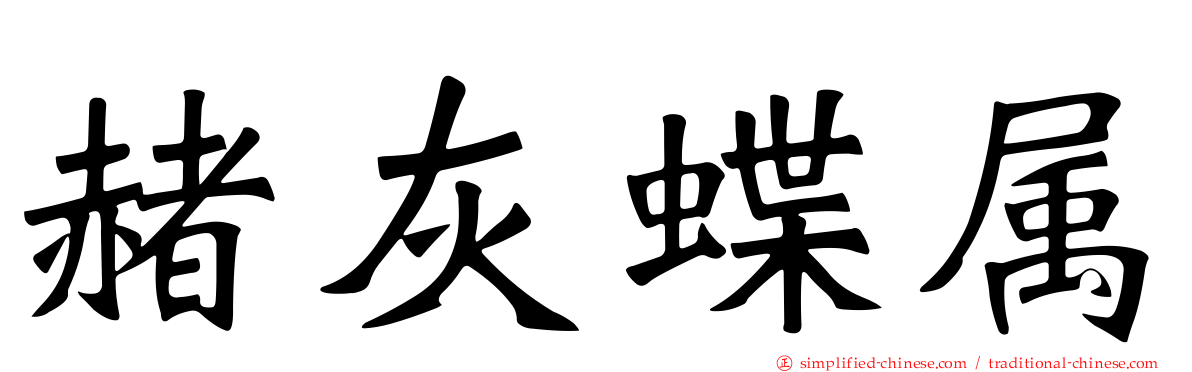 赭灰蝶属