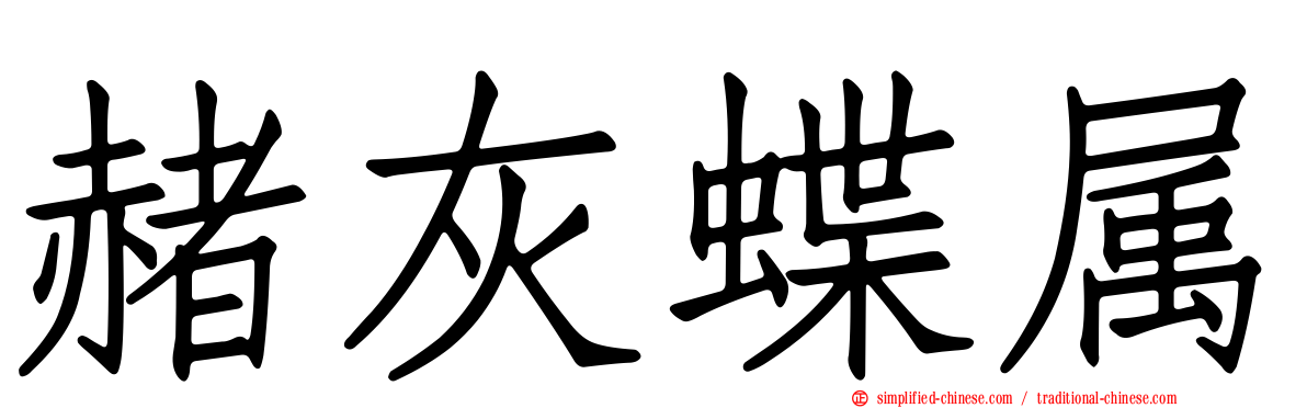赭灰蝶属