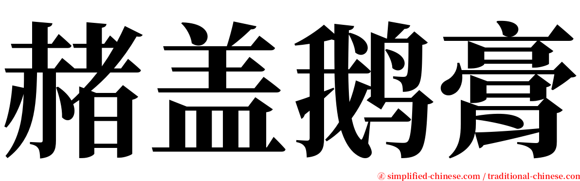 赭盖鹅膏 serif font