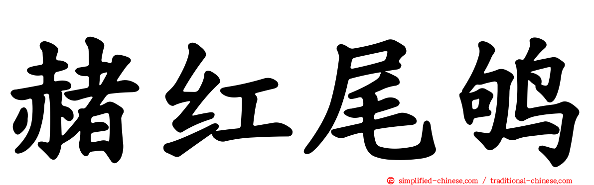 赭红尾鸲