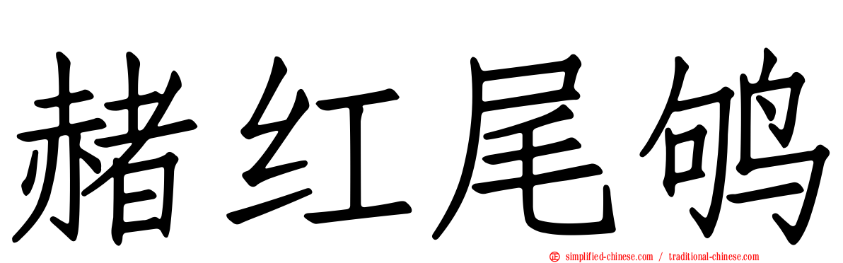 赭红尾鸲