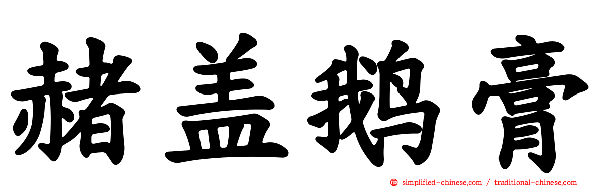赭盖鹅膏