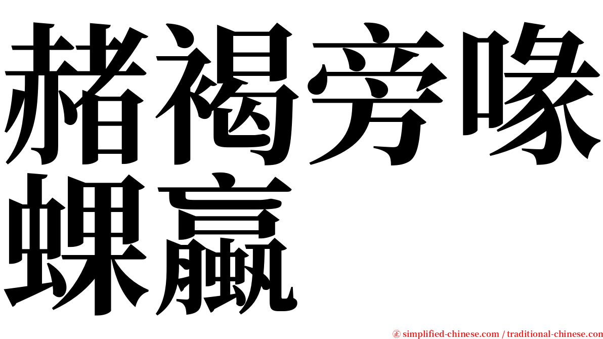 赭褐旁喙蜾蠃 serif font