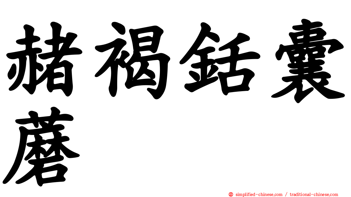 赭褐铦囊蘑