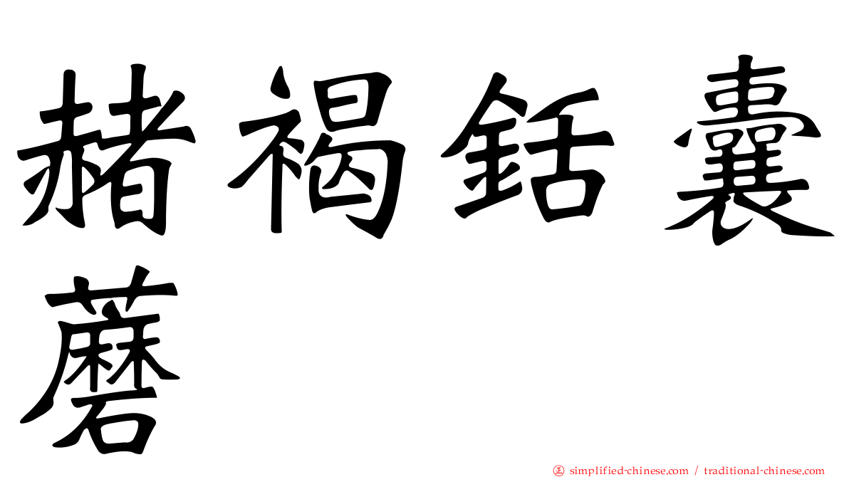 赭褐铦囊蘑