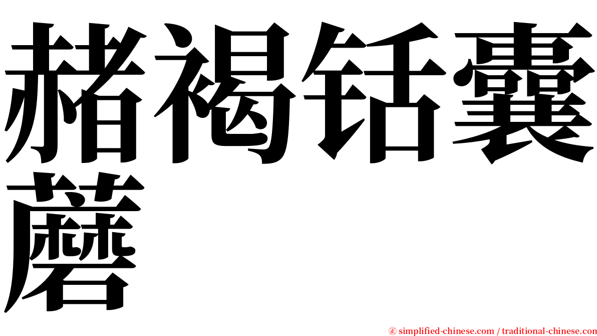 赭褐铦囊蘑 serif font