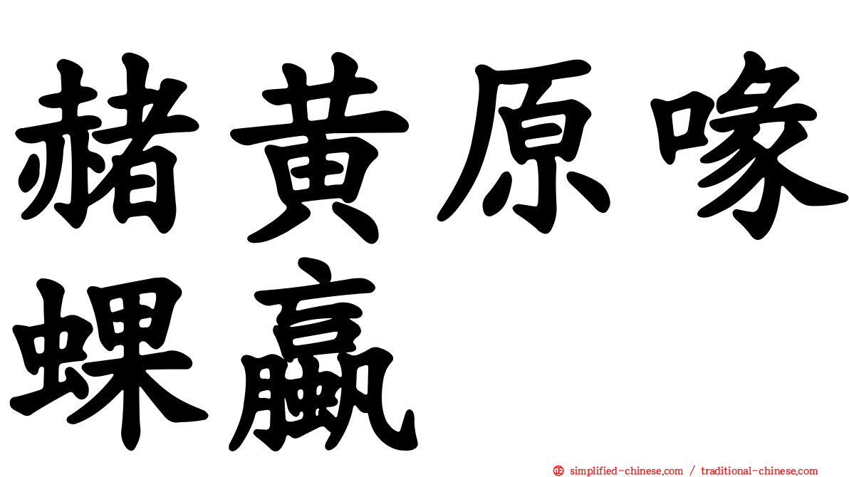 赭黄原喙蜾蠃