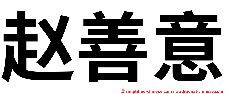 赵善意