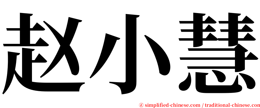 赵小慧 serif font