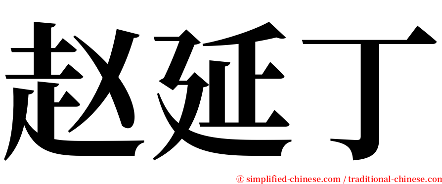 赵延丁 serif font