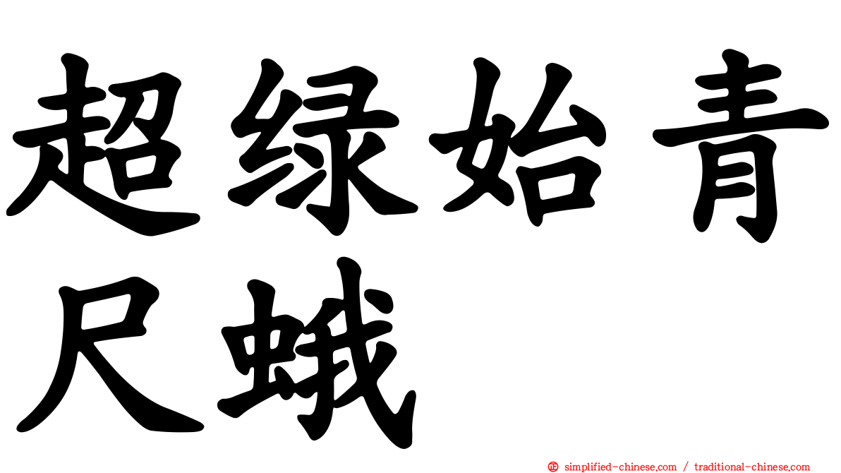 超绿始青尺蛾