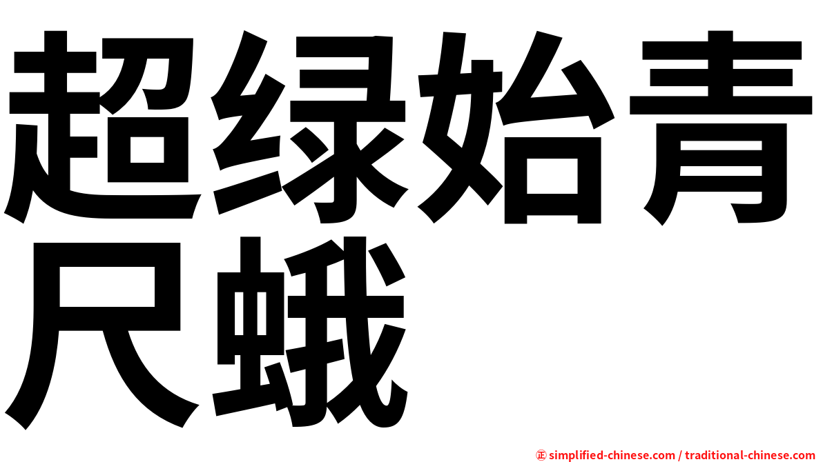 超绿始青尺蛾