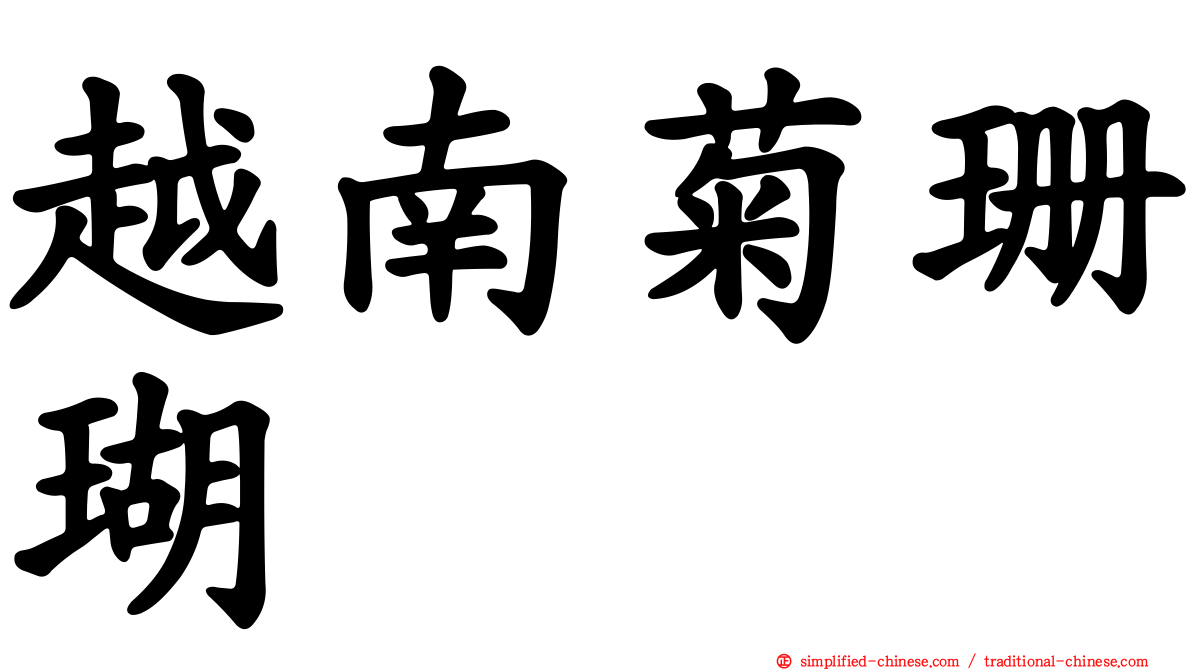 越南菊珊瑚
