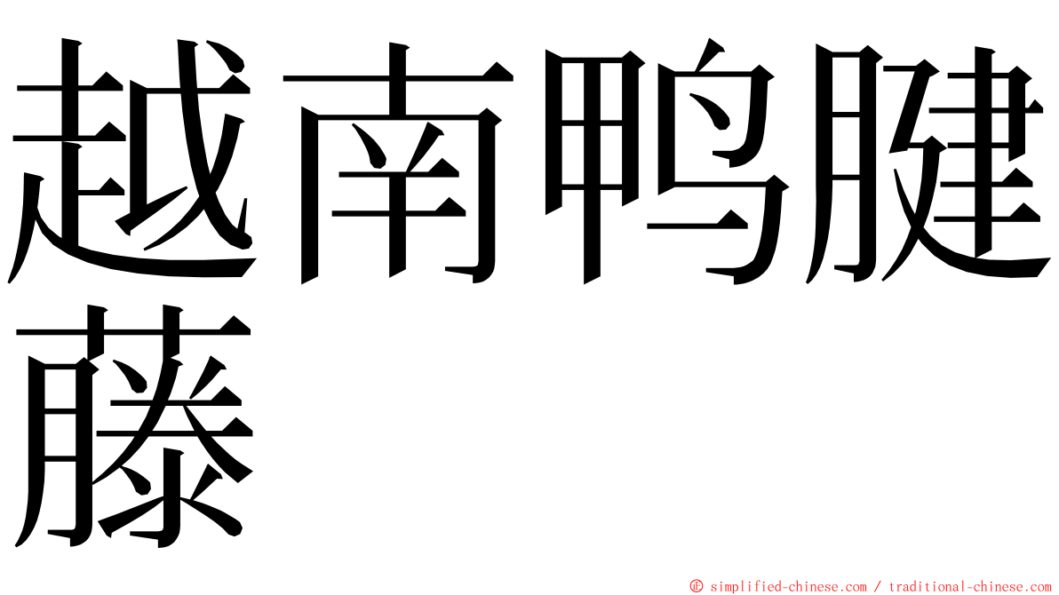 越南鸭腱藤 ming font
