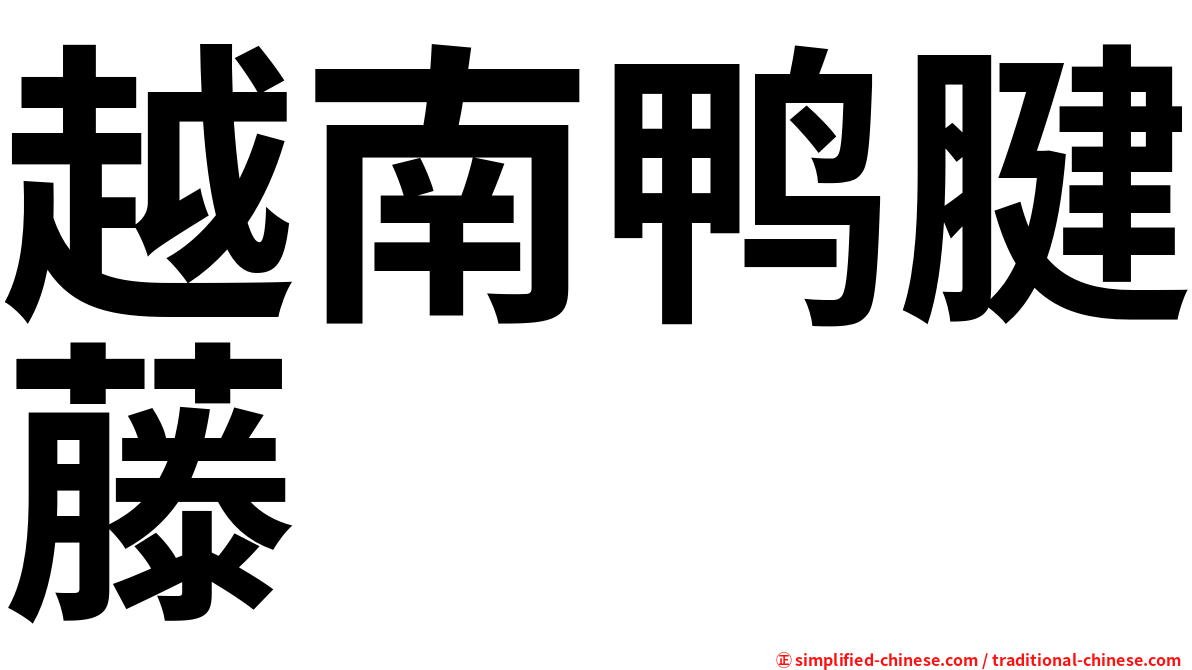 越南鸭腱藤