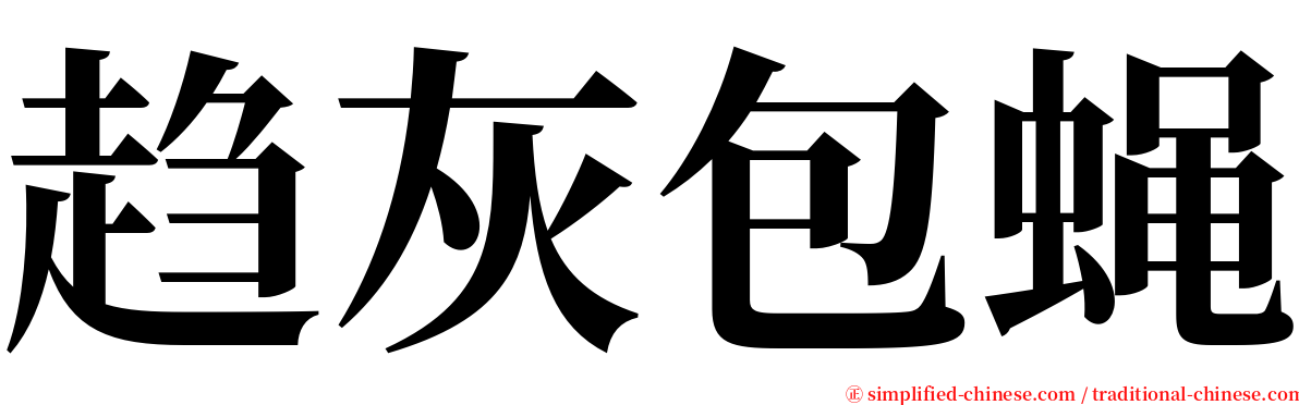 趋灰包蝇 serif font