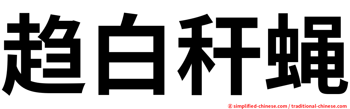 趋白秆蝇