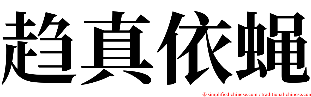 趋真依蝇 serif font